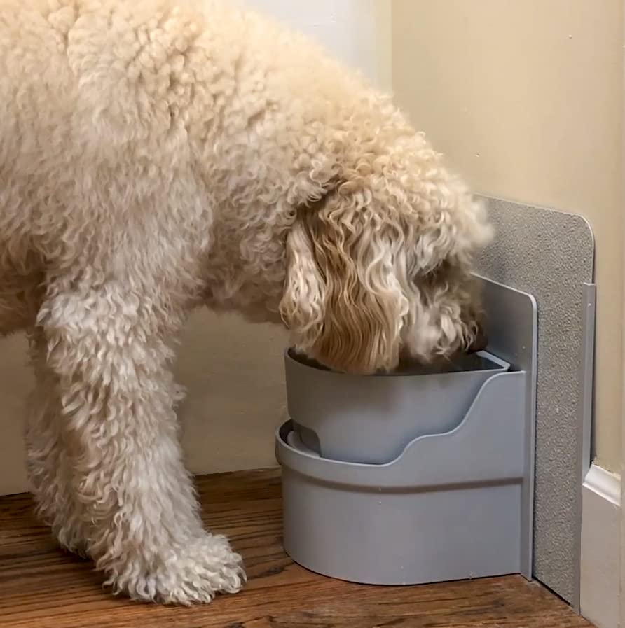 Automatic Pet Water Bowl