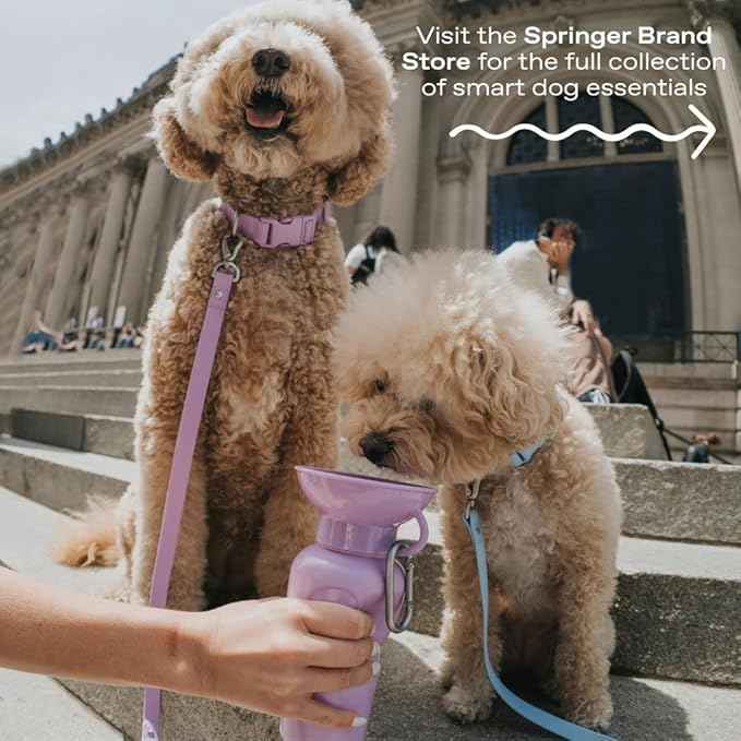 Springer Dog Water Bottle | Portable Travel Water Bottle Dispenser For Dogs - As Seen on Shark Tank | Patented, Leak-Proof Bottles Fill Bowl With Water - Ideal for Walking | BPA-Free 15oz Blue