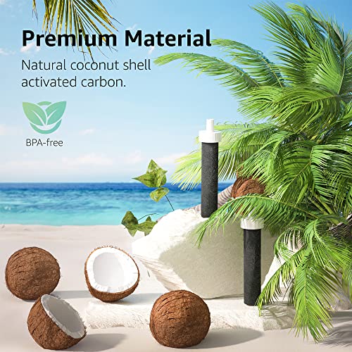 Water Bottle Filter (5 Count)