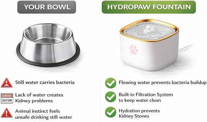 Cat Water Fountain, Water Fountain for Dogs, Indoor Water Dispenser, 3L Automatic Cat Water Dispenser, Quiet Motor, Holds Water for 10 Days – Cute Pink Design