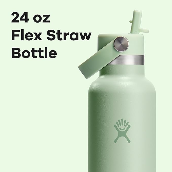 Hydro Flask Water Bottle - Insulated Stainless Steel - Straw Lid, Non Spill, Leakproof 24 Oz Aloe Green