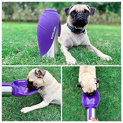 PupFlask Large Dog Water Bottle