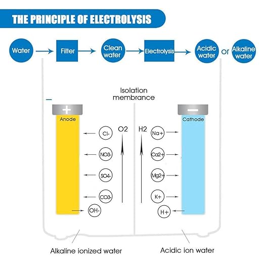Alkaline Water Ionizer Machine 729, Built-in a Filter, Produces pH 4-10.5 Water, 7 Water Settings, Up to -570mV ORP, 8000L Per Filter, Silver