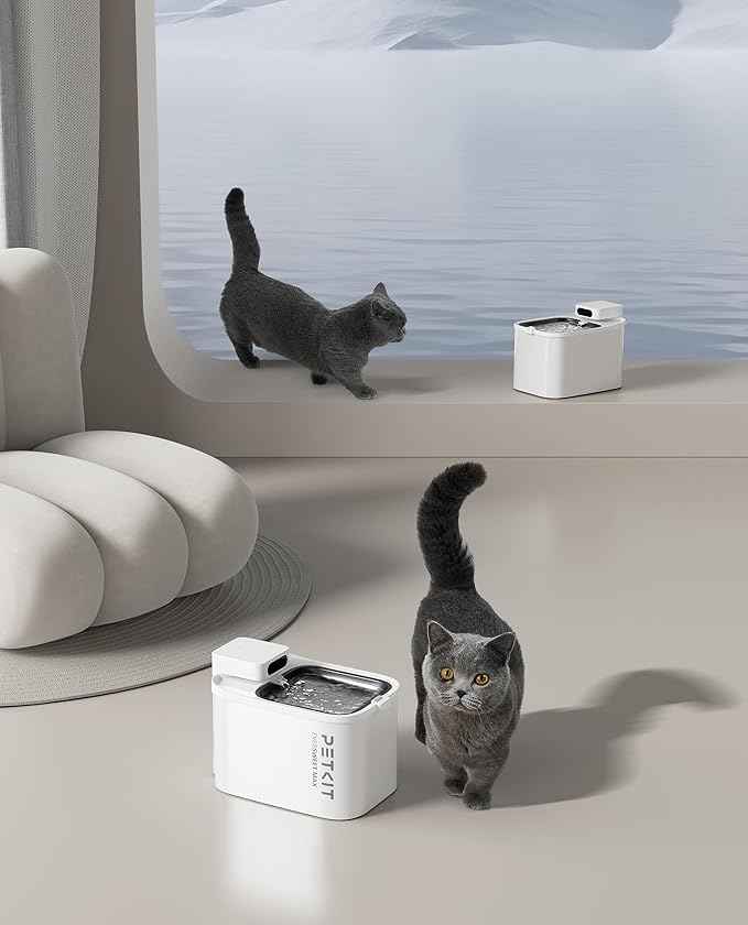 PETKIT EVERSWEET MAX Cordless Cat Water Fountain with Motion Sensor, 101 oz/3L Pet Fountain for Cats Dogs Inside, Automatic Cat Water Dispenser Battery Operated (White-Cordless, 3L)