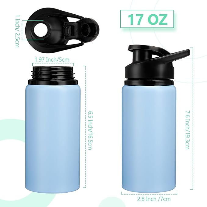 Domensi 6 Pack Aluminum Water Bottle Bulk Reusable Water Bottle, Lightweight Easy Carry Leakproof with Snap Lid Travel Bottles, for Gym Outdoor Sports Cycling Camping Fishing (17oz,Morandi Colors)