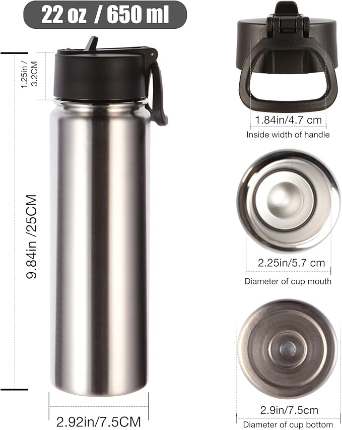 Volhoply Insulated Water Bottles with Straw Bulk 4 Pack, 22 oz Stainless Steel Sports Bottle with Handle Lid, Double Walled Vacuum Travel Water Cups with Wide Mouth for School Hiking(Silver,4 Set)