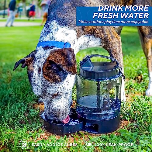 Portable Dog Travel Water Bottle