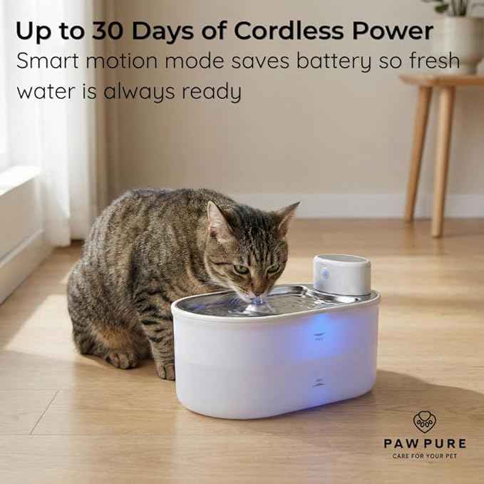 Wireless Cat Water Fountain 3L/108oz, Cordless Battery‑Operated Pet Fountain with Stainless Steel Drinking Tray, Quiet 20 dB Automatic Modes, BPA‑Free Easy‑Clean Water Dispenser for Cats & Small Dogs