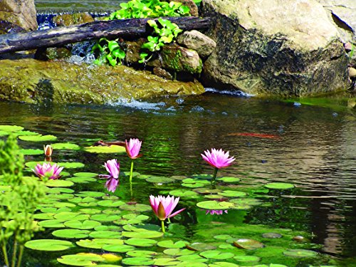 UltraKlear 2500 UV Pond Clarifier
