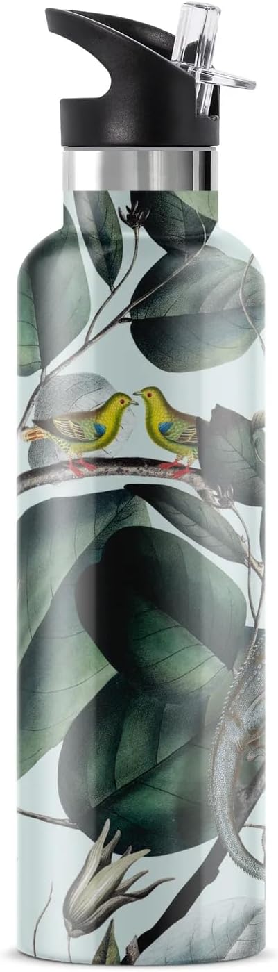 Bougie Ecodrive Insulated Water Bottle, Gift Tube, 25-Ounces, Stainless Steel, Multicolor, Kitchen Décor