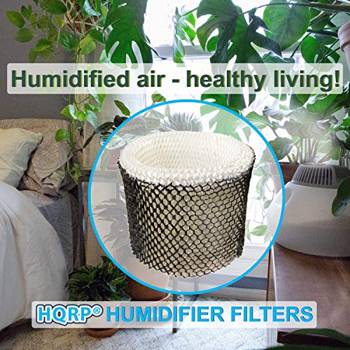 2 pack Wick Filter compatible with Walgreens 890 (2 Count)