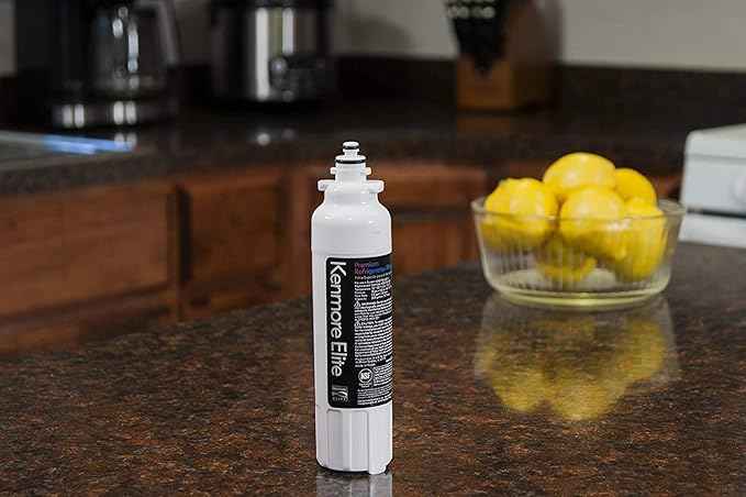 Kenmore Elite 9490 Original OEM Refrigerator Water Filter (2 Pack)