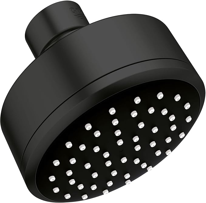 GROHE Tempesta Cosmopolitan 100 1 Spray Shower Head, Starlight Chrome