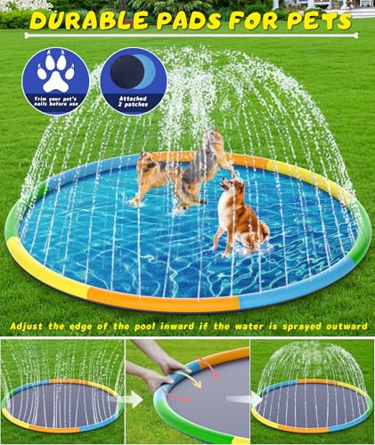 Splash Pad for Kids and Dogs