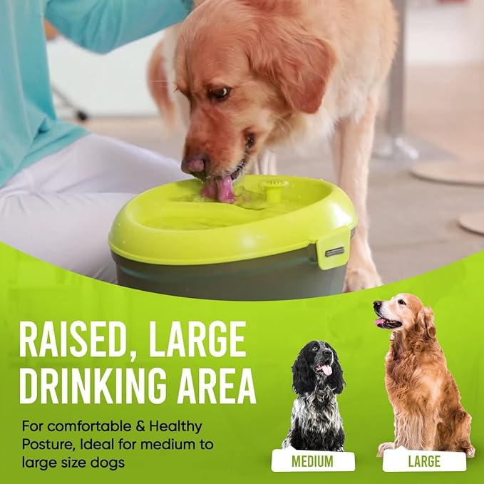 Dog H20 Large Dog Water Fountain 6 Liter - Automatic Filtered Pet Water Fountain for Dogs Raised Bowl Water Dispenser for Large Pets, Water Level Indicator - Multi-Pet, BPA-Free, Dishwasher Safe