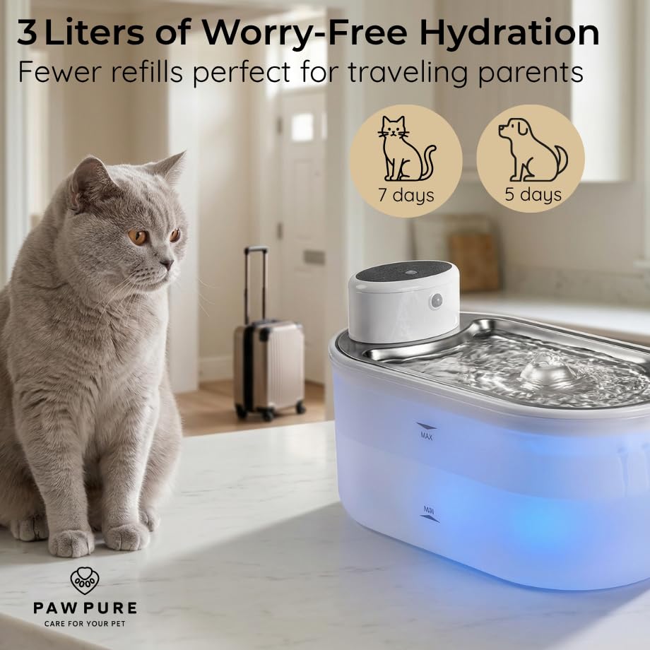 Cat Water Fountain Stainless Steel & Cordless Dog Water Fountain
