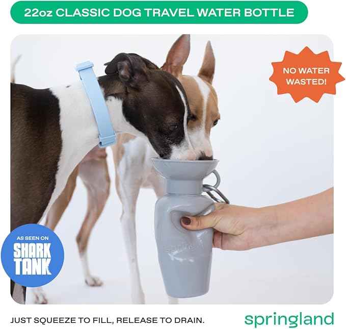Springer Dog Water Bottle | Portable Travel Water Bottle Dispenser for Dogs - As Seen on Shark Tank | Patented, Leak-Proof Bottles Fill Bowl with Water - Ideal for Walking | BPA-Free 22oz Gray