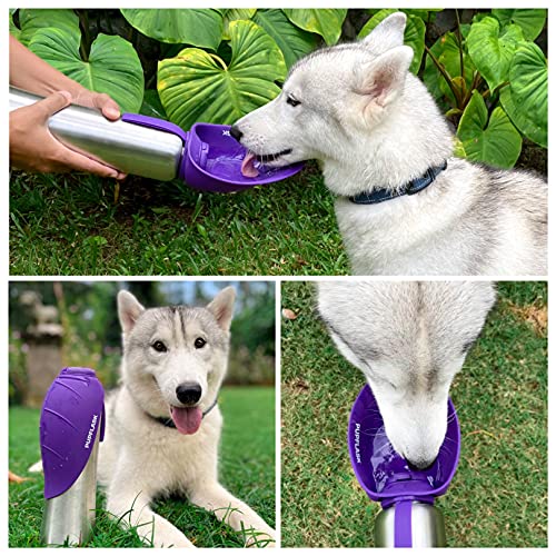 PupFlask Large Dog Water Bottle (40 Fl Oz)