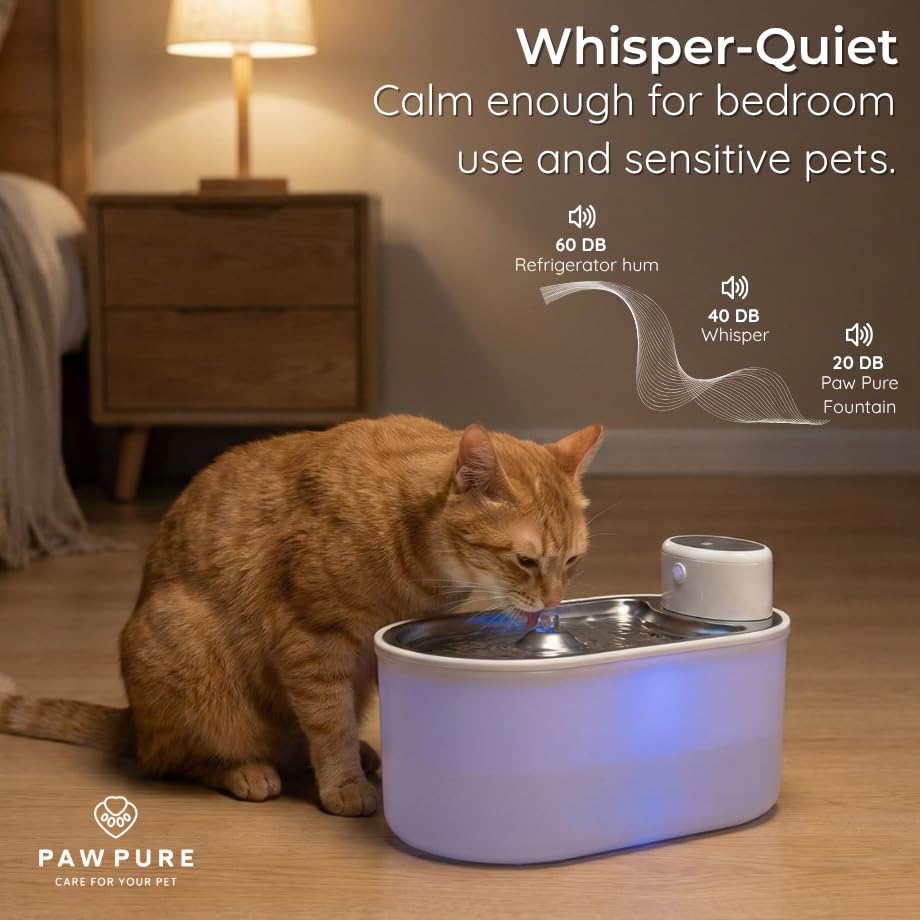 Cat Water Fountain Stainless Steel & Cordless Dog Water Fountain
