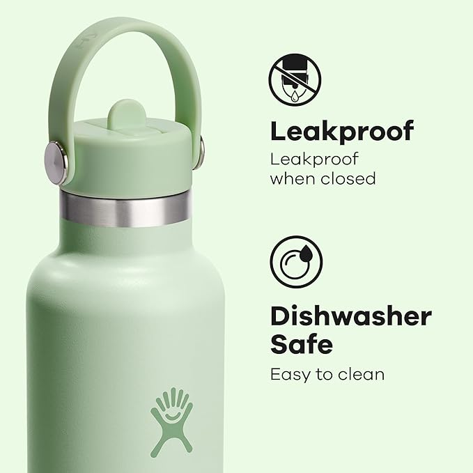 Hydro Flask Water Bottle - Insulated Stainless Steel - Straw Lid, Non Spill, Leakproof 24 Oz Aloe Green