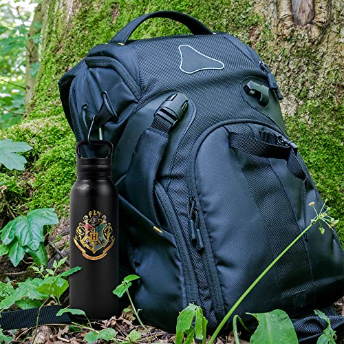 Harry Potter Vacuum Insulated Stainless Steel with Loop Cap
