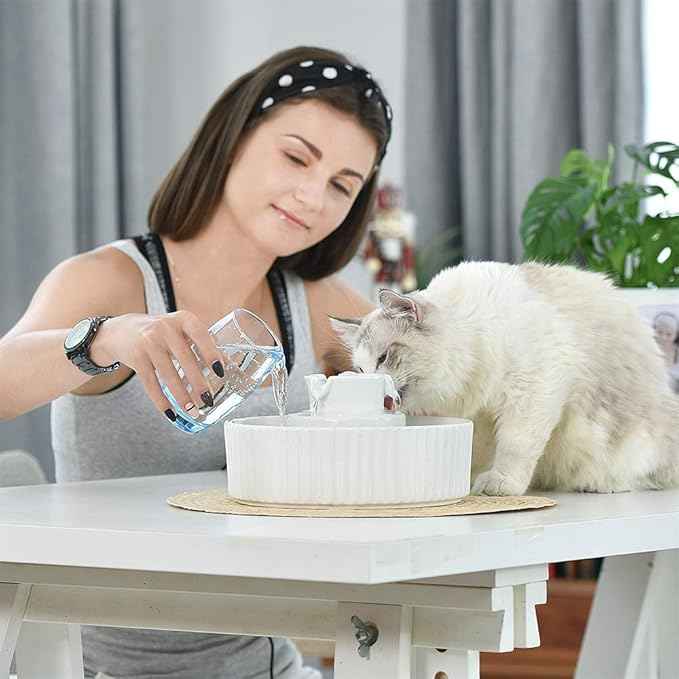 Cepheus Pet Drinking Fountain-2.1L/71oz Ceramic Cat Water Fountain-Automatic Ceramic Water Fountain for Cats and Dogs with with Ultra-Quiet Pump(White)