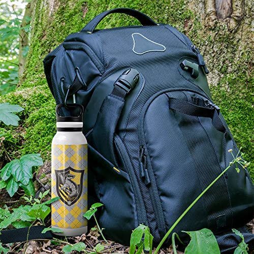 Harry Potter Vacuum Insulated Stainless Steel with Loop Cap