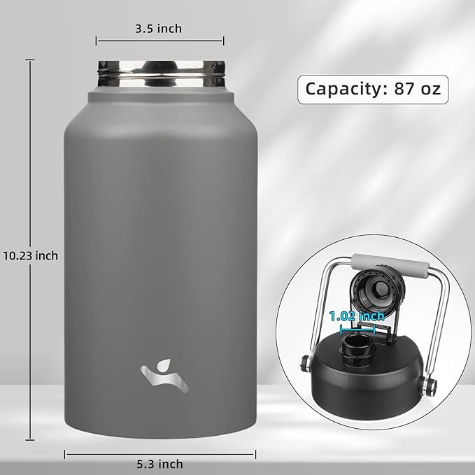 Jug with Handle,87 oz Insulated Water Bottle with Carrying Pouch, Double Wall Vacuum Stainless Steel Metal Bottle,Gray