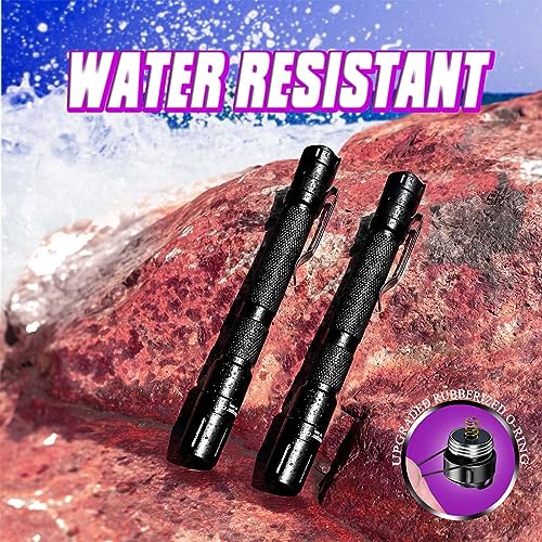 UV Flashlight 2 Pack Ultraviolet (2 Count)
