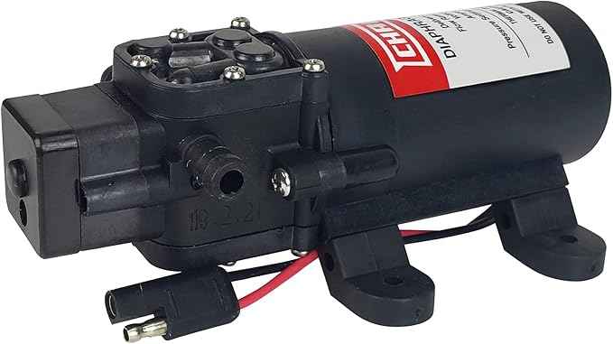 Chapin International 6-9206 12V 1.0 GPM Standard Diaphragm Pump, Black