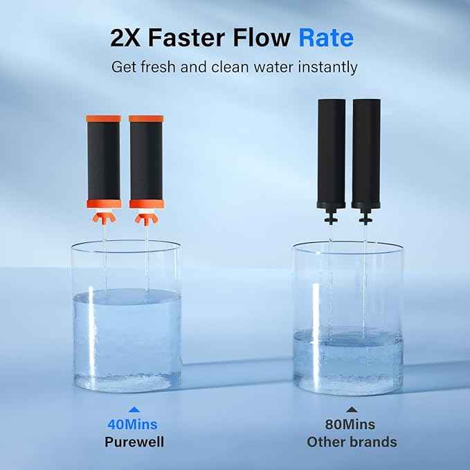 Purewell PF-3-FL Black 4-Stage Composite Carbon and Fluoride Reduction Filters, Compatible with Berkey® Big+, ProOne® Big+ Gravity Water Filter Systems and Purewell Systems (2 Pack, K Series)