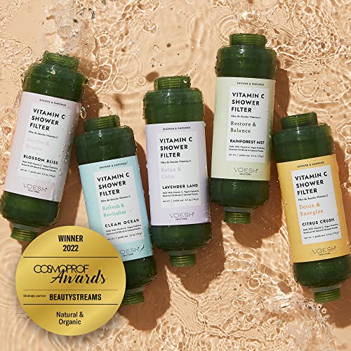 Vitamin C Shower Filter (2 Count)