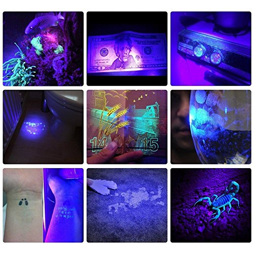 SV57 3W Small UV Flashlight 365nm USB