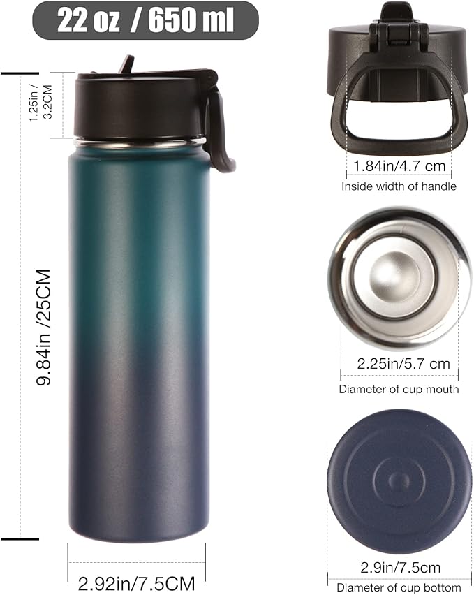Volhoply Insulated Water Bottles with Straw Bulk 4 Pack, 22 oz Stainless Steel Sports Bottle with Lid,Metal Travel Water Cups with Wide Mouth, Reusable Cold Water Flask for Hiking(Assorted,4 Set)