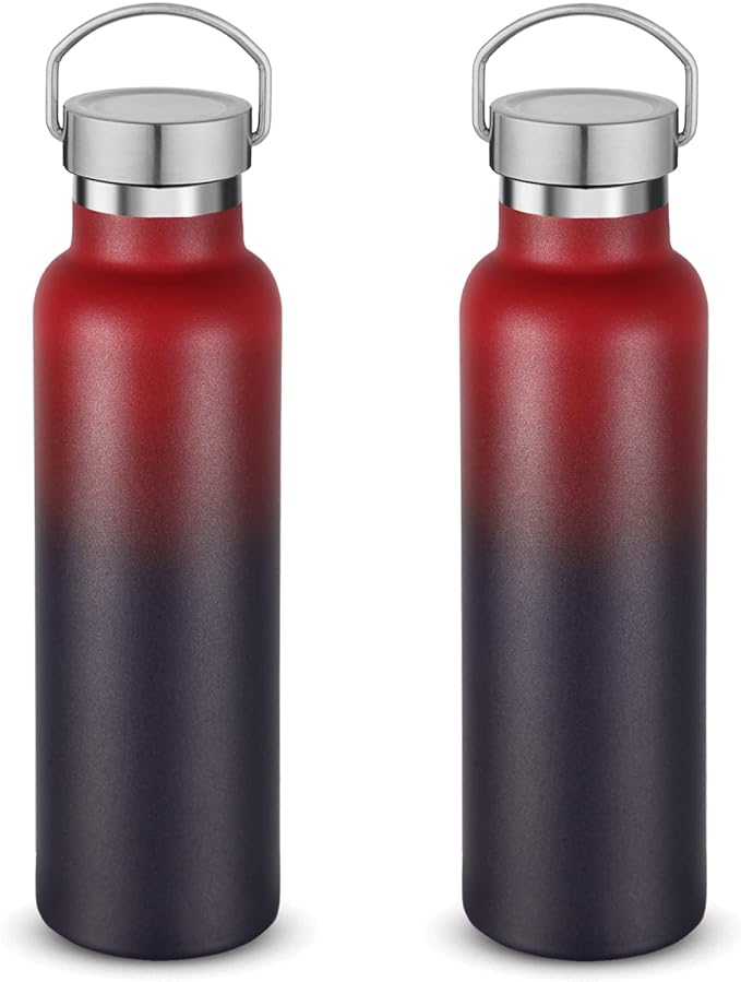 Neihepal 20 oz Insulated Water Bottles Bulk 2 Pack,Stainless Steel Double Wall Sport Bottle with Lid of Handle,Metal Reusable Thermoses Flask for School,Cyclists,Hikers,Gift (Dark Rainbow,Set of 2)