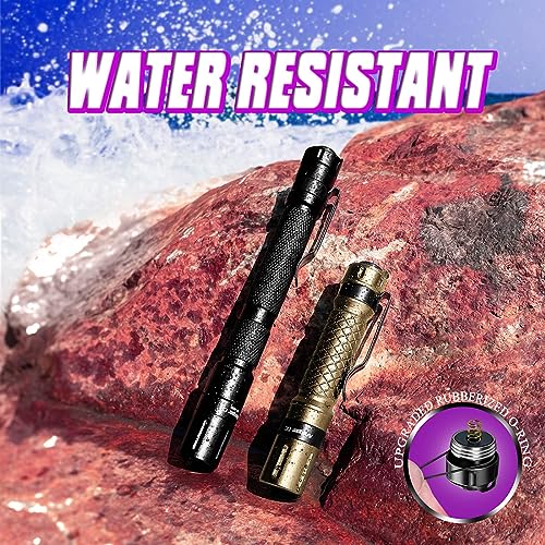 UV Flashlight 2 Pack (2 Count)