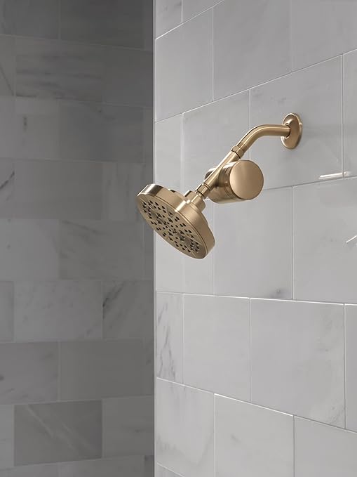 Delta Faucet 5-Setting Shower Head Gold with Clarifi Standard Shower Filter Attachment with Filter