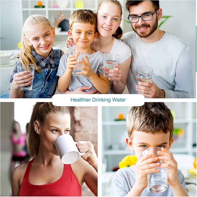 APEX MR-2032 Under the Counter Water Filter System - Alkaline