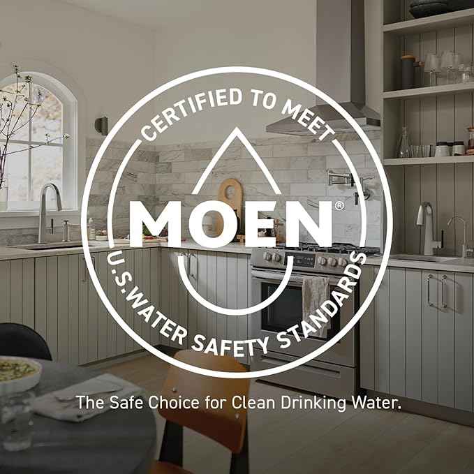 Moen 9601 ChoiceFlo Replacement Water Filter Compatible with Moen Sip Filtered Kitchen Faucets