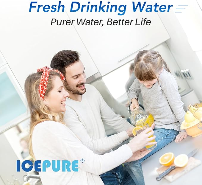 ICEPURE CTO20BB 1 Micron 20" x 4.5" Whole House CTO Coconut Shell Activated Carbon Water Filter Replacement Cartridge, Compatible with FC25B, EPM-20BB, CB-BB-20, DB20P, EP-20BB, CTO-F20B-5, 2 Pack