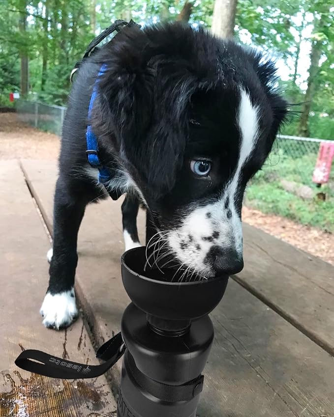Lesotc Dog Water Bottle, Portable Water Dispenser with Travel Water Bowl, Leak Proof Pet Travel Squeeze Bottle, Puppy Essentials Dog Stuff Accessories for Outdoor Walking, Hiking, Camping - AquaVibe