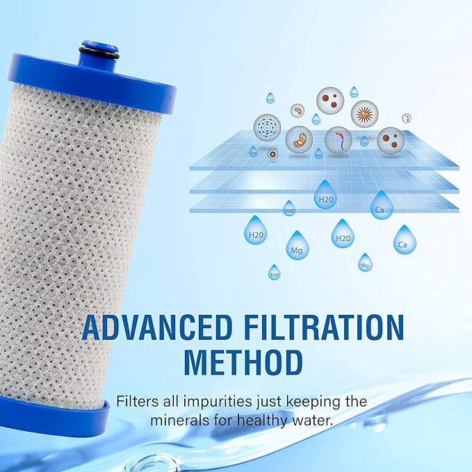 Swift Green Filters SGF-WF1CB Replacement Refrigerator Water Filter for WF1CB,WFCB, 240394501, AP2591529,Made in USA, (3 Pack)