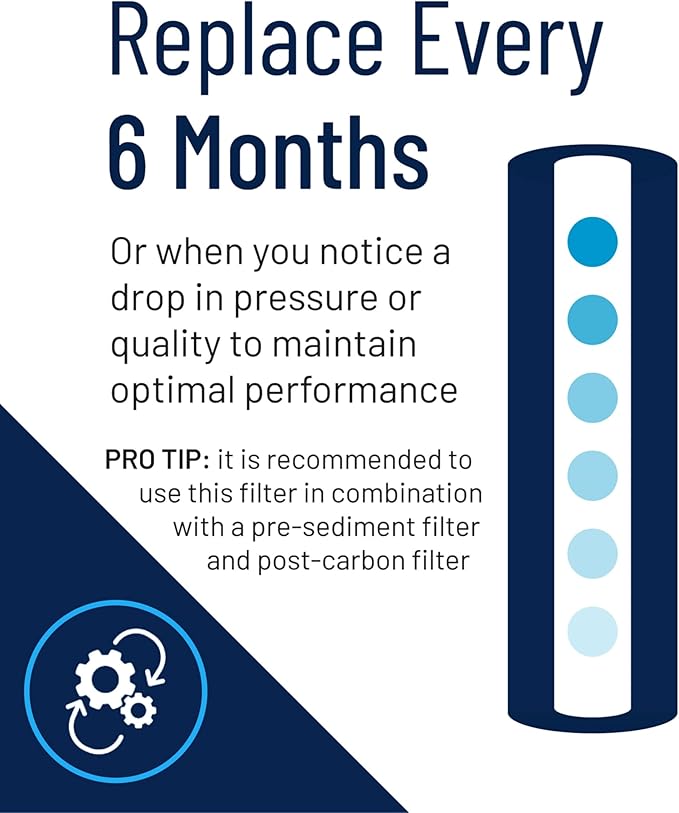 Pentair Pentek RFFE20-BB Big Blue Water Filter, 20-Inch, Whole House Radial Flow Iron Reduction Replacement Cartridge, 20" x 4.5", White
