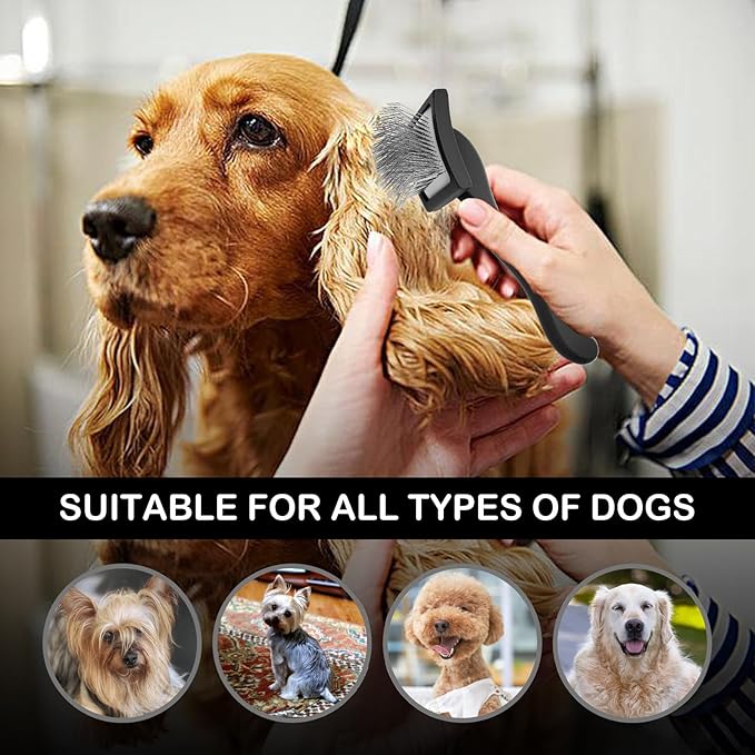 Dog Slicker Brush for Golden Doodle Grooming Kit - Dematting Brushes for Goldendoodles, Labradoodles, Poodles - Pet Hair Brush for Short & Medium Haired Dogs - Small (Black) - AquaVibe