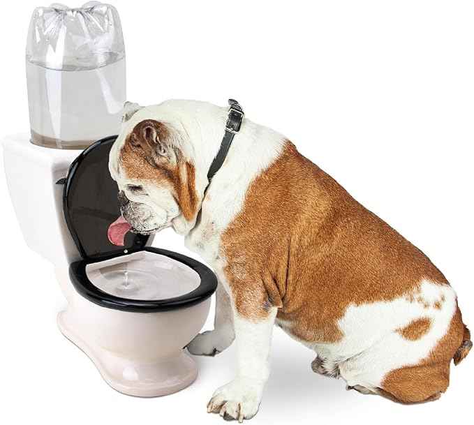 BigMouth Inc The Toilet Water Dish for Pets, Ceramic, Holds 2L Bottle, Funny Bowl for Dogs and Cats