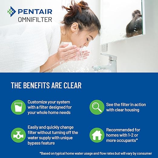 Pentair OMNIFilter Whole Home Valve-in-Head 10" Standard Duty Water Filtration System with Pressure Relief, Blue/Clear