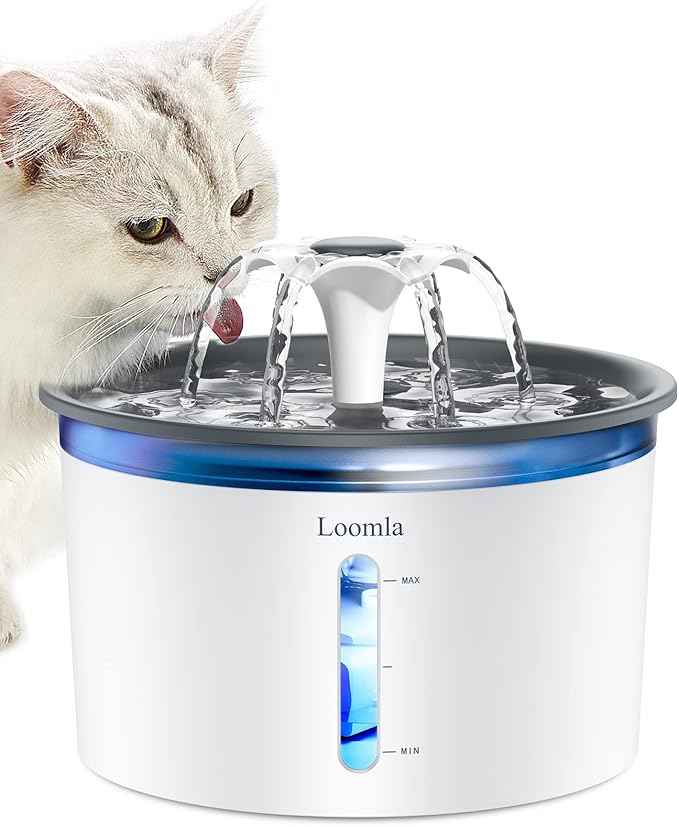 Loomla Cat Water Fountain, 85oz/2.5L Pet Water Fountain Indoor, Automatic Dog Water Dispenser with Switchable LED Lights, 2 Replacement Filters for Cats, Dogs, Pets (Dark Gray)