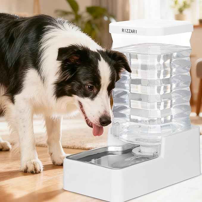 RIZZARI Stainless Steel Pet Water Feeder: 10L Gravity Waterer with Filter - Splash-Resistant - Dust-Resistant Lid -Easy to Clean - No Power Needed - for Cats & Dogs - Crate Area/Kitchen Corner