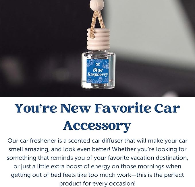CE Craft Hanging Car Air Freshener – Fragrance Oil Diffuser with Essential Oils – Long-Lasting Aromatherapy Scents for Automobiles – 4 Pack, Summer