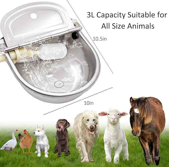 Automatic Water Dispenser for Dog Water Bowl Dispenser Large Size Stainless-Steel Waterer Feeder Self Filling Water Trough for Poultry and Livestock (Stainless Steel, Large)
